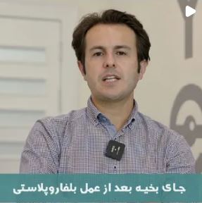 Media40